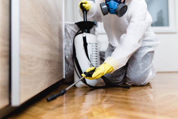 Best Pest Control Near Me  in Carnegie, OK