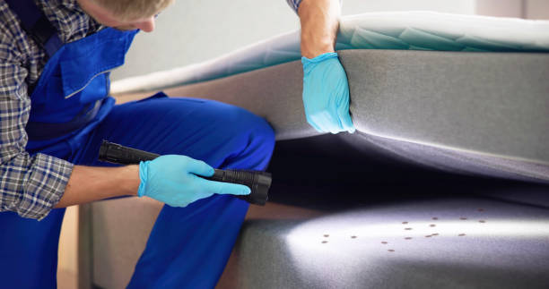 Best Flea Control Services  in Carnegie, OK
