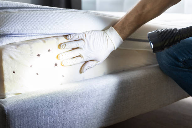 Best Best Pest Control Companies  in Carnegie, OK