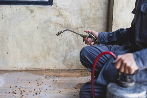 Best Commercial Pest Control Services  in Carnegie, OK